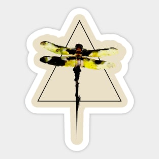 Dragonfly and the Triangle Sticker